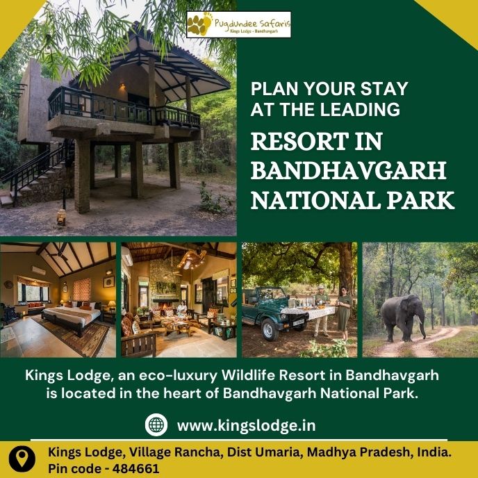 Plan Your Stay At The Leading Resort In Bandhavgarh National Park